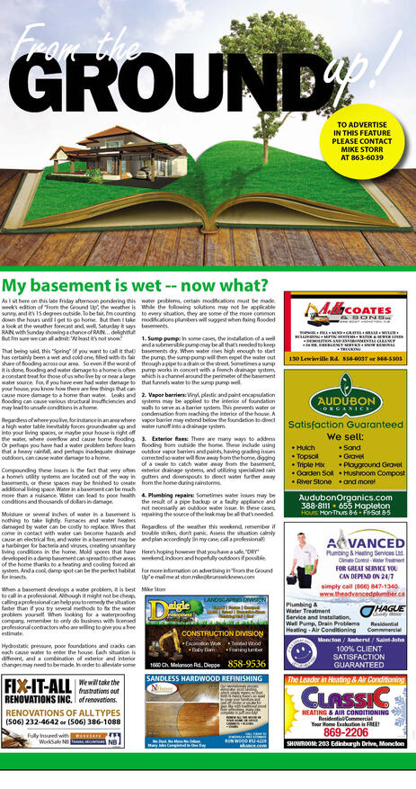 Ground Up Writeup - BNI Supplement