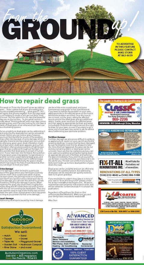 Ground Up Writeup - BNI Supplement