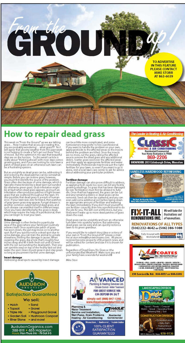 Ground Up Writeup - BNI Supplement